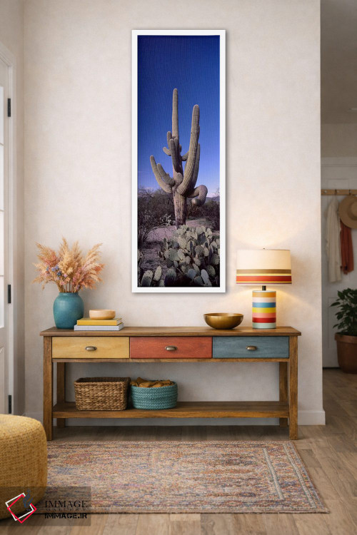 تابلو دکوراتیو Saguaro National Park, Tucson, Arizona, USA #2,نمای روب… اثر پانورامیک ایمجز - D1W