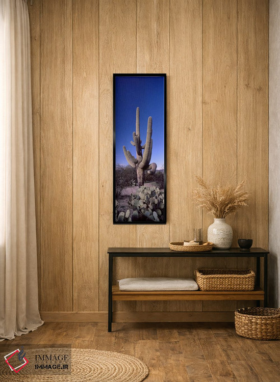تابلو دکوراتیو Saguaro National Park, Tucson, Arizona, USA #2,نمای روب… اثر پانورامیک ایمجز - D2B