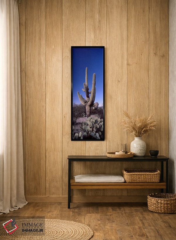 تابلو دکوراتیو Saguaro National Park, Tucson, Arizona, USA #2,نمای روب… اثر پانورامیک ایمجز - D2B