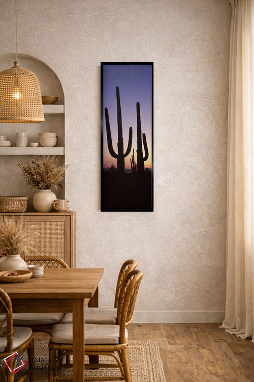تابلو دکوراتیو Saguaro National Park, Tucson, Pima County, Arizona, US… اثر پانورامیک ایمجز - D4B