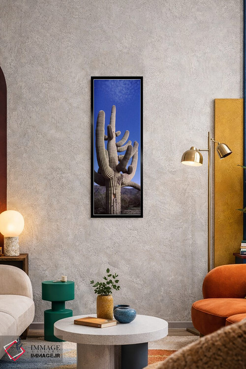 تابلو دکوراتیو Saguaro National Park, Tucson, Arizona, USA,نمای روبه پ… اثر پانورامیک ایمجز - D2B