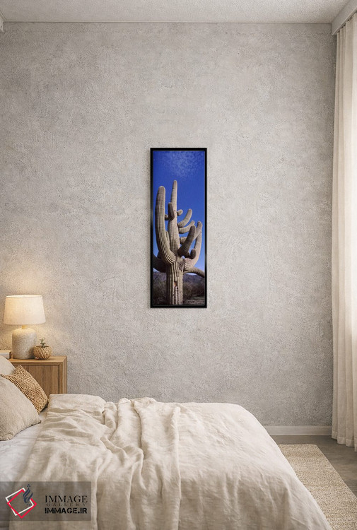 تابلو دکوراتیو Saguaro National Park, Tucson, Arizona, USA,نمای روبه پ… اثر پانورامیک ایمجز - D3B