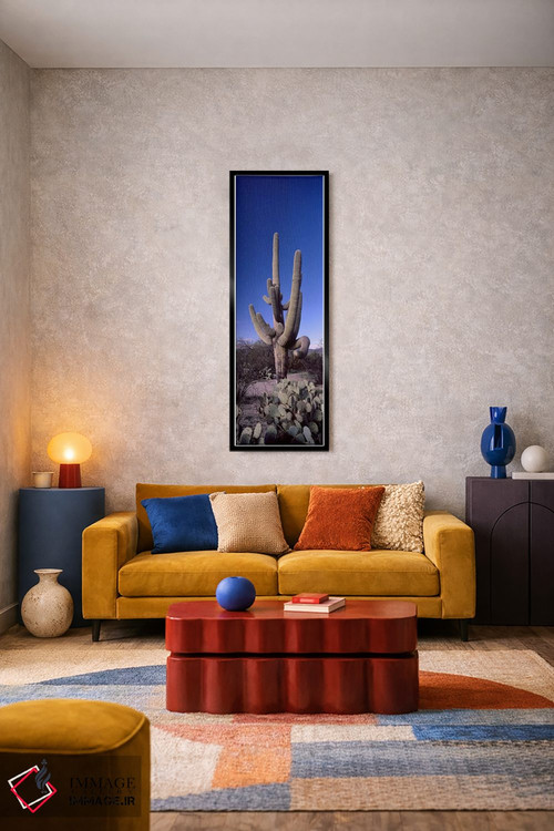 تابلو دکوراتیو Saguaro National Park, Tucson, Arizona, USA #2,نمای روب… اثر پانورامیک ایمجز - D3B