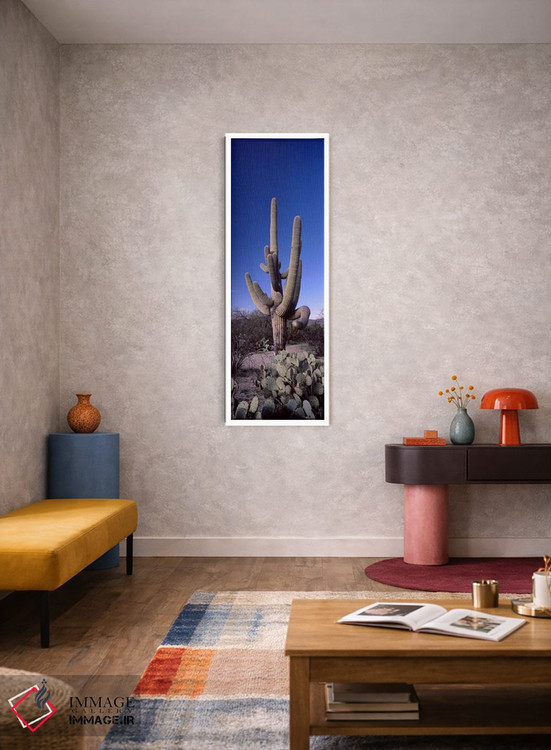 تابلو دکوراتیو Saguaro National Park, Tucson, Arizona, USA #2,نمای روب… اثر پانورامیک ایمجز - D4W