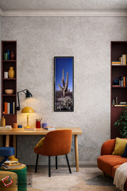 تابلو دکوراتیو Saguaro National Park, Tucson, Arizona, USA #2,نمای روب… اثر پانورامیک ایمجز - D5B