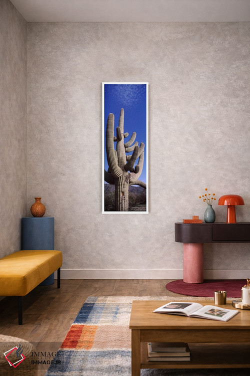 تابلو دکوراتیو Saguaro National Park, Tucson, Arizona, USA,نمای روبه پ… اثر پانورامیک ایمجز - D6W