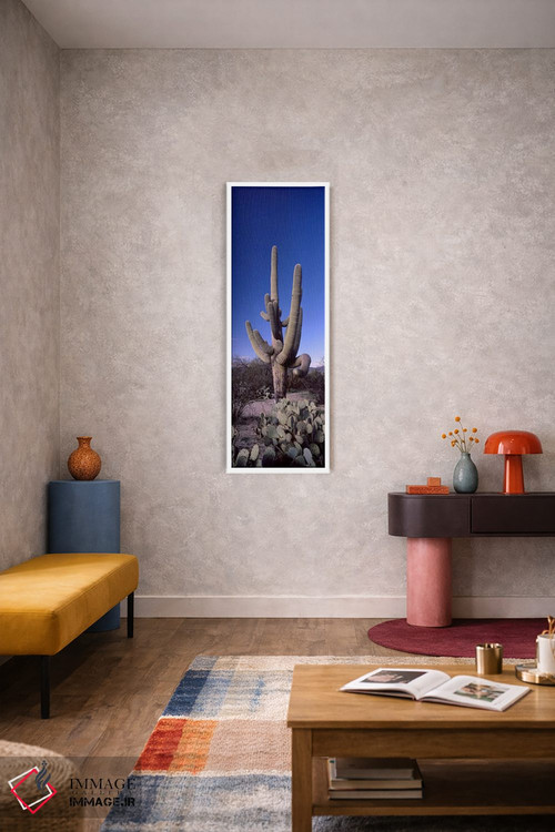 تابلو دکوراتیو Saguaro National Park, Tucson, Arizona, USA #2,نمای روب… اثر پانورامیک ایمجز - D6W