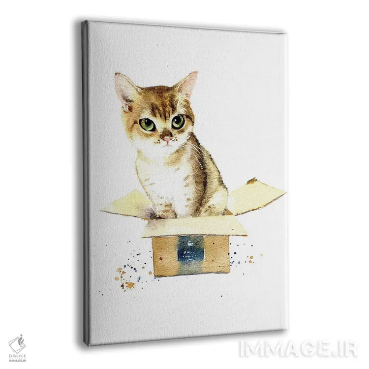 تابلو دکوراتیو گربه در جعبه اثر مارینا ایگناتووا - نمای پرسپکتیو محصول