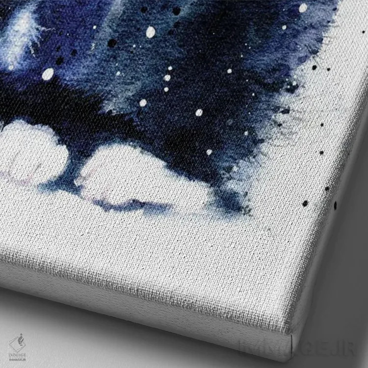 تابلو دکوراتیو گربه سیاه و سفید اثر مارینا ایگناتووا - نمای نزدیک بافت بوم