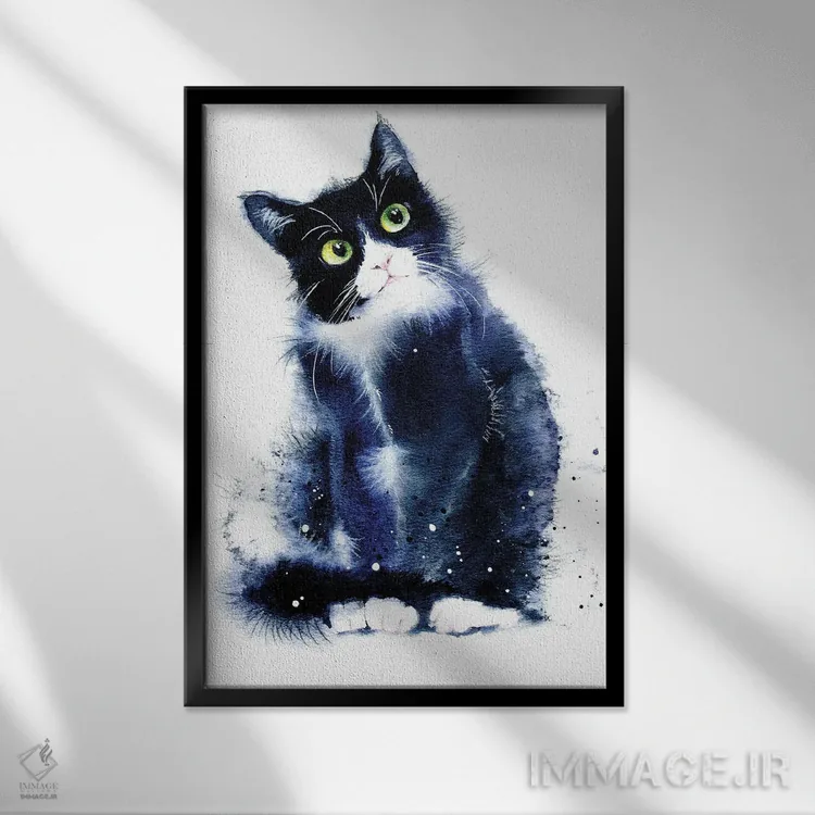 تابلو دکوراتیو گربه سیاه و سفید اثر مارینا ایگناتووا - نمای قابدار مشکی
