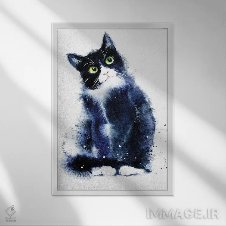 تابلو دکوراتیو گربه سیاه و سفید اثر مارینا ایگناتووا - نمای قابدار سفید