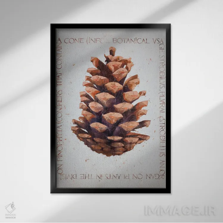 تابلو دکوراتیو مخروط اثر ایگور شولمان - نمای قابدار مشکی