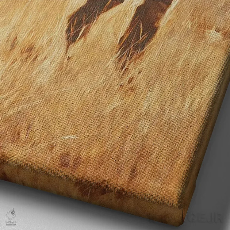 تابلو دکوراتیو قدم زدن در هولمز اثر ایگور شولمان - نمای نزدیک بافت بوم