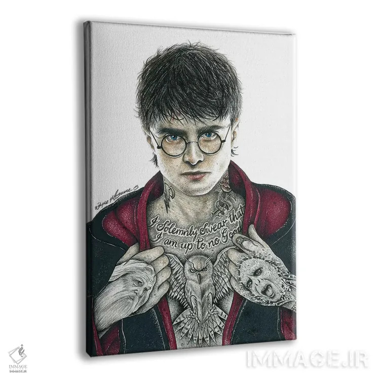تابلو دکوراتیو هری پاتر اثر اینکد آیکونز - نمای پرسپکتیو محصول