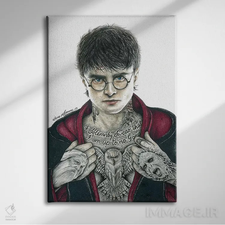 تابلو دکوراتیو هری پاتر اثر اینکد آیکونز - نمای روبهرو روی دیوار