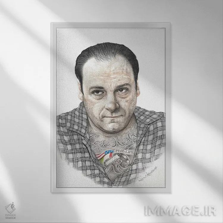 تابلو دکوراتیو تونی سوپرانو اثر اینکد آیکونز - نمای قابدار سفید