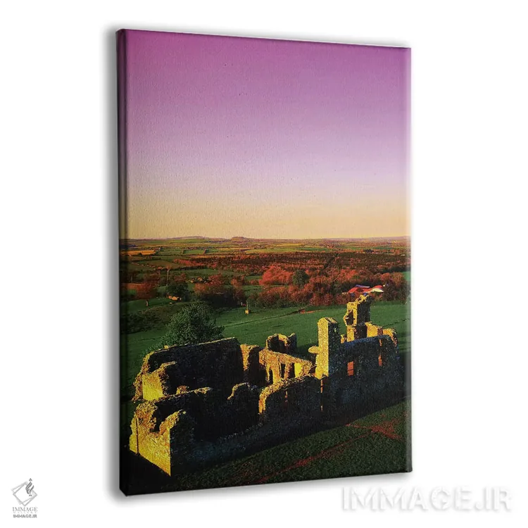 تابلو دکوراتیو کالج فرانسیسکن ، اسلین، شهرستان میث، ایرلند اثر ایریش ایمیج کالکشن - نمای پرسپکتیو محصول