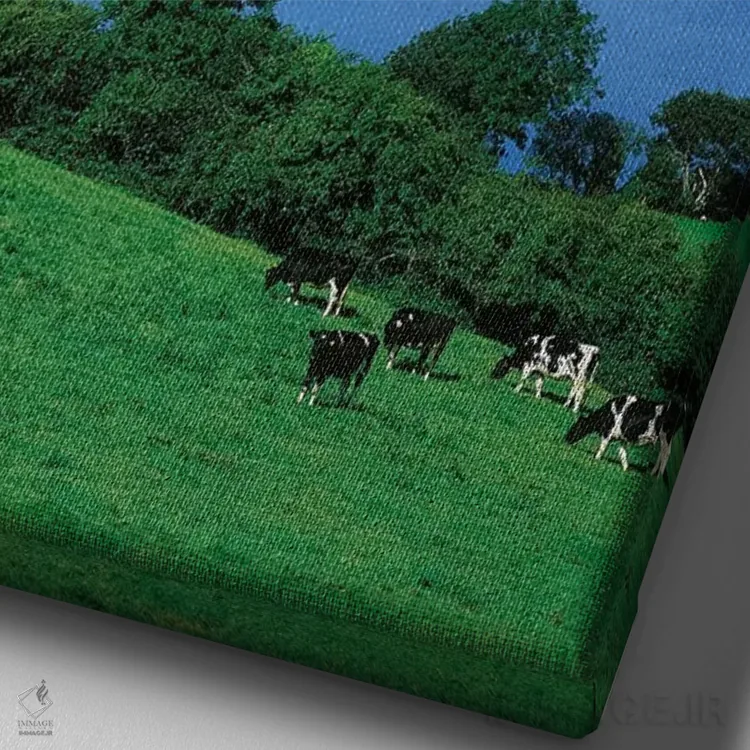 تابلو دکوراتیو خلیج بانتری، شهرستان کورک، ایرلند اثر ایریش ایمیج کالکشن - نمای نزدیک بافت بوم