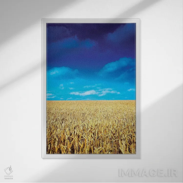 تابلو دکوراتیو مزرعه گندم، نزدیک کولون، شهرستان لائوث، ایرلند اثر ایریش ایمیج کالکشن - نمای قابدار سفید
