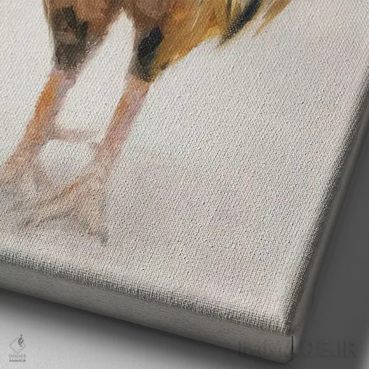 تابلو دکوراتیو اهمیت اثر ایرینا خورت - نمای نزدیک بافت بوم