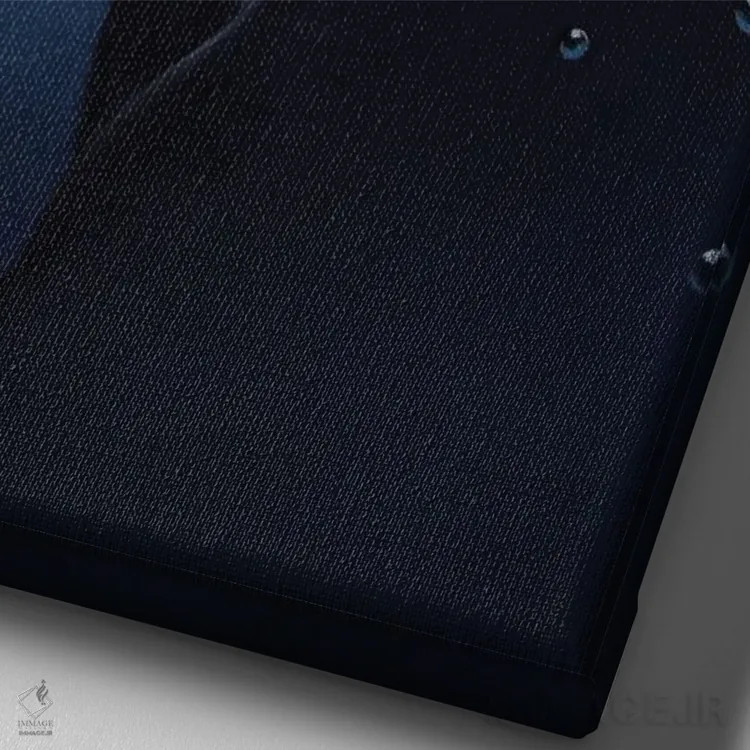 تابلو دکوراتیو نور زیر آب اثر اینا مدودوا - نمای نزدیک بافت بوم