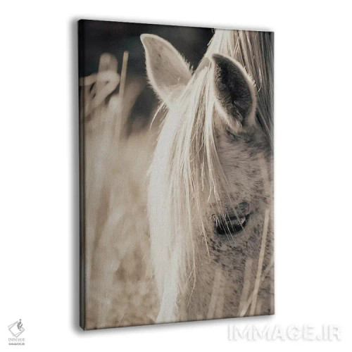 تابلو مدرن ساعت طلایی ۲ اثر اینگرید بدوز - نمای پرسپکتیو محصول