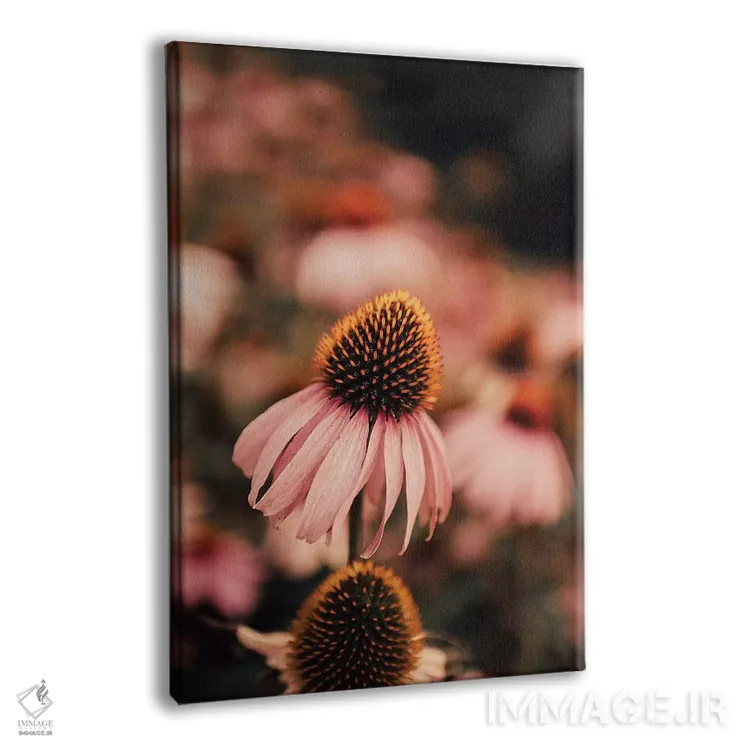 تابلو دکوراتیو اکیناسه اثر اینگرید بدوز - نمای پرسپکتیو محصول