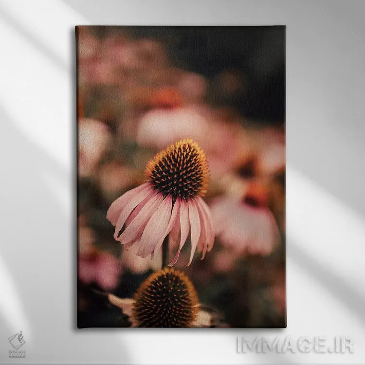 تابلو دکوراتیو اکیناسه اثر اینگرید بدوز - نمای روبهرو روی دیوار