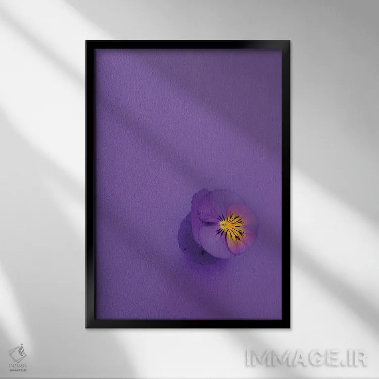 تابلو دکوراتیو بنفشه اسطوخودوسی اثر اینکادو - نمای قابدار مشکی