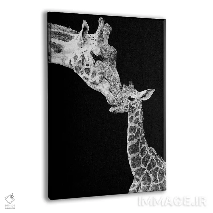 تابلو دکوراتیو اولین عشق اثر اینکادو - نمای پرسپکتیو محصول