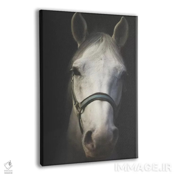 تابلو دکوراتیو روح سفید اثر اینگرید بدوز - نمای پرسپکتیو محصول