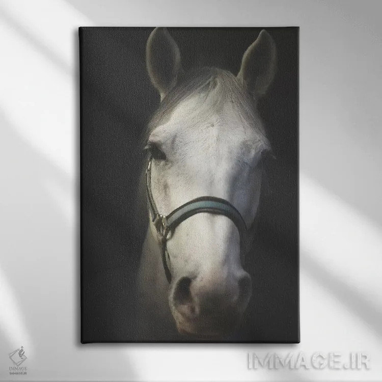 تابلو دکوراتیو روح سفید اثر اینگرید بدوز - نمای روبهرو روی دیوار