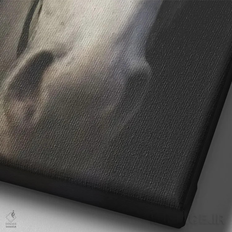 تابلو دکوراتیو روح سفید اثر اینگرید بدوز - نمای نزدیک بافت بوم