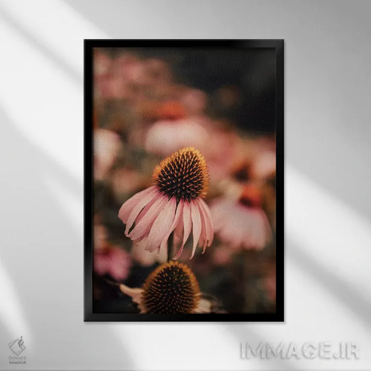 تابلو دکوراتیو اکیناسه اثر اینگرید بدوز - نمای قابدار مشکی