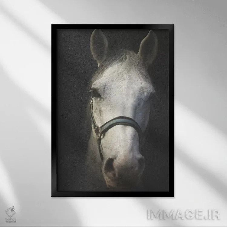 تابلو دکوراتیو روح سفید اثر اینگرید بدوز - نمای قابدار مشکی