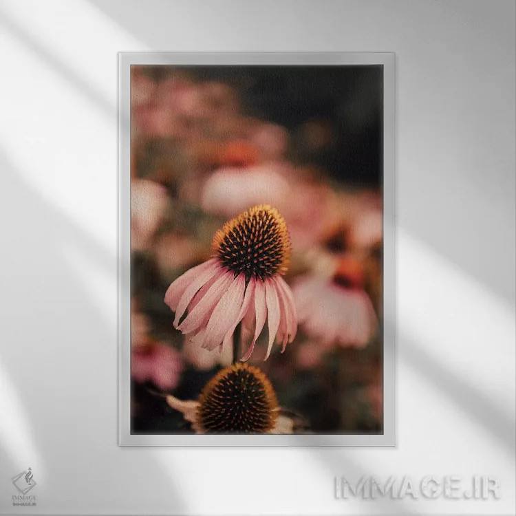 تابلو دکوراتیو اکیناسه اثر اینگرید بدوز - نمای قابدار سفید