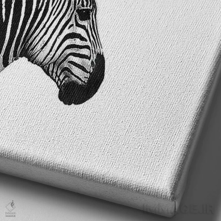 تابلو دکوراتیو گورخر II اثر اینکادو - نمای نزدیک بافت بوم