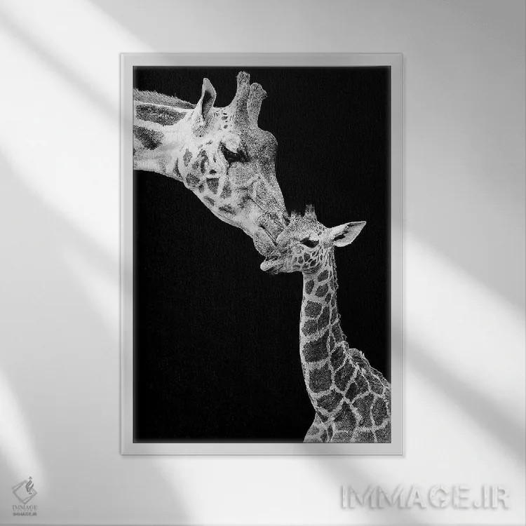 تابلو دکوراتیو اولین عشق اثر اینکادو - نمای قابدار سفید