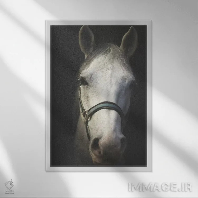 تابلو دکوراتیو روح سفید اثر اینگرید بدوز - نمای قابدار سفید