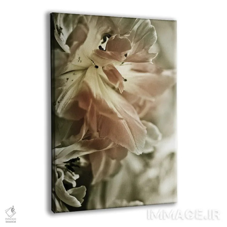 تابلو مدرن سوسن سفید استارگیزر II اثر اینکادو - نمای پرسپکتیو محصول