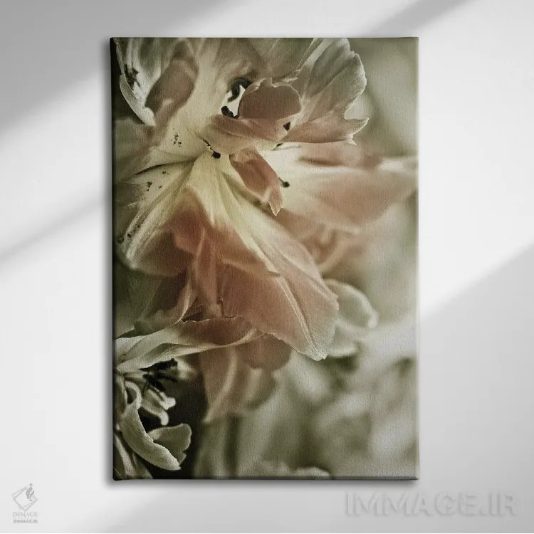 تابلو مدرن سوسن سفید استارگیزر II اثر اینکادو - نمای روبهرو روی دیوار