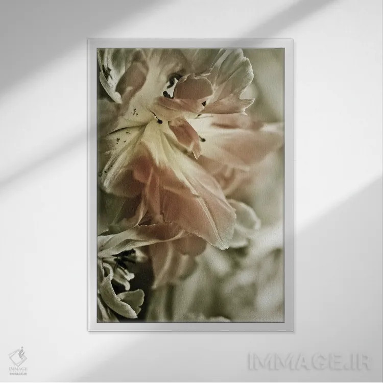 تابلو مدرن سوسن سفید استارگیزر II اثر اینکادو - نمای قابدار سفید