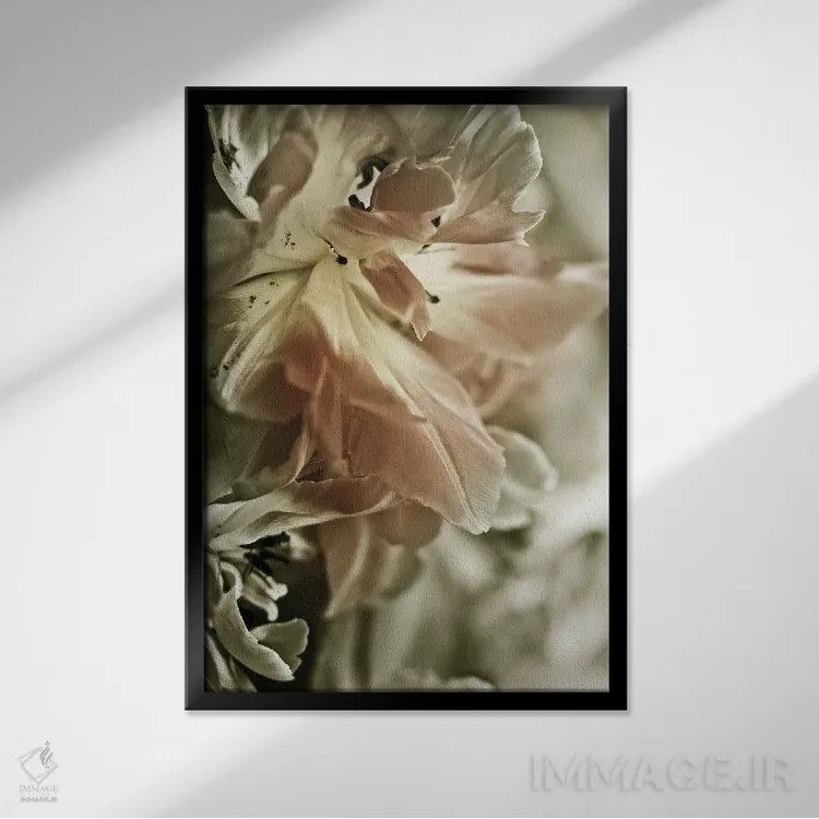 تابلو مدرن سوسن سفید استارگیزر II اثر اینکادو - نمای قابدار مشکی