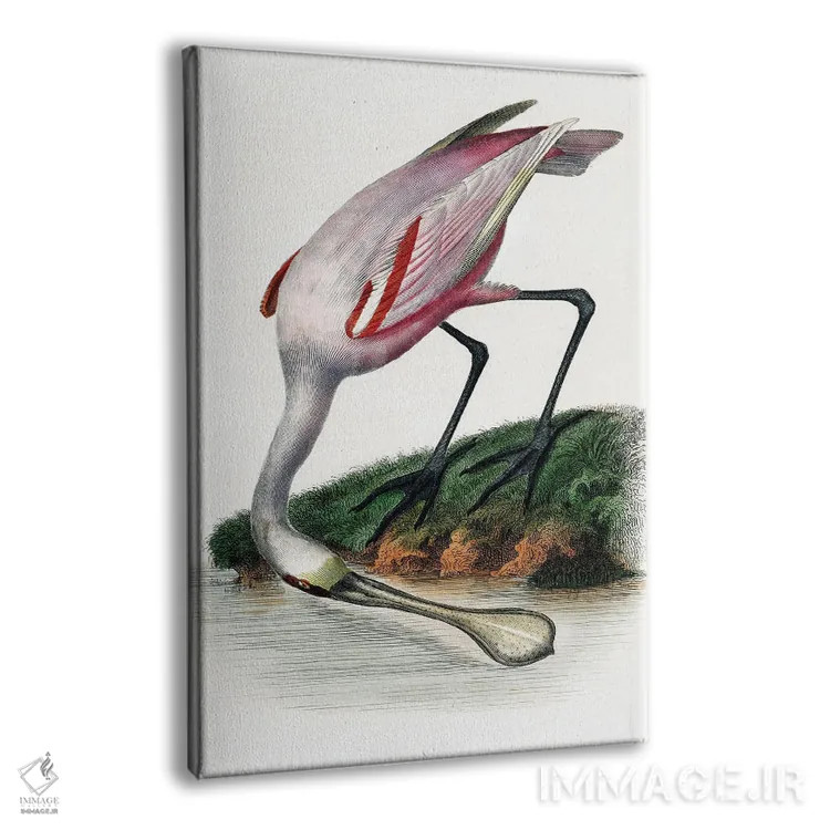 تابلو دکوراتیو کفچه نوک اثر اینکادو - نمای پرسپکتیو محصول