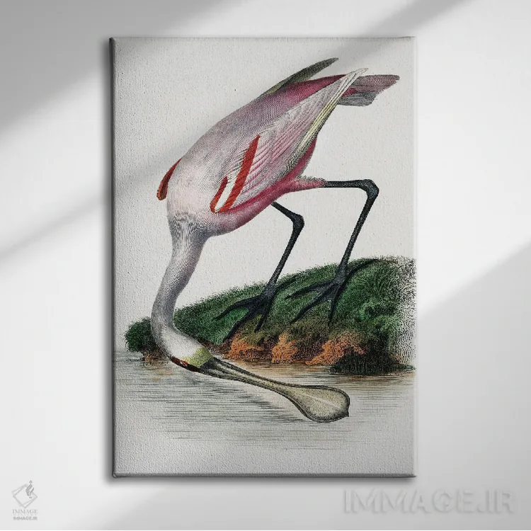 تابلو دکوراتیو کفچه نوک اثر اینکادو - نمای روبهرو روی دیوار