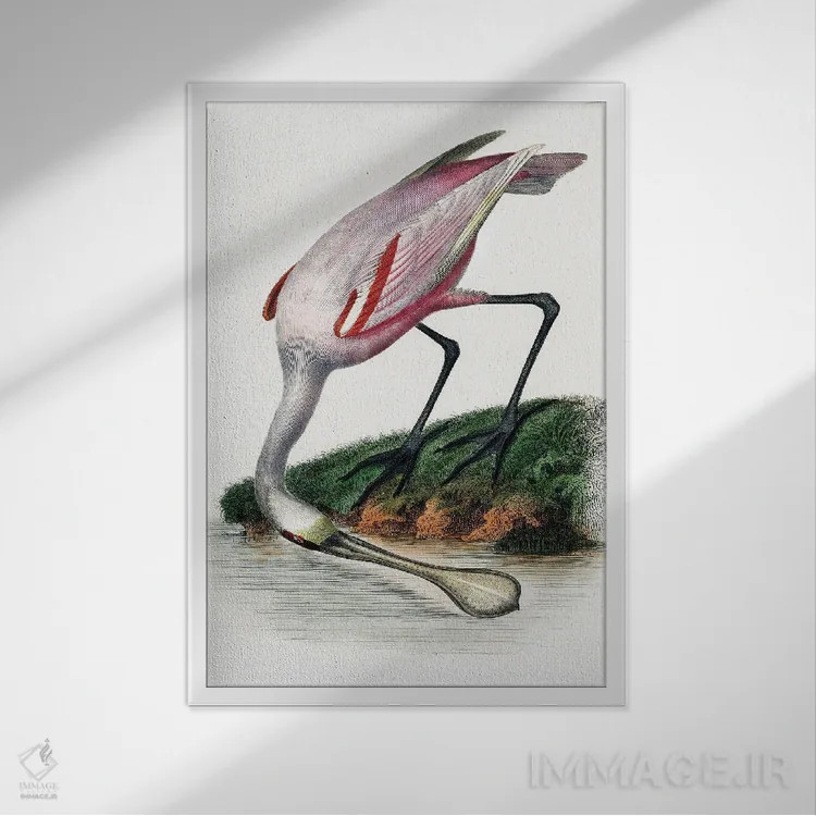 تابلو دکوراتیو کفچه نوک اثر اینکادو - نمای قابدار سفید