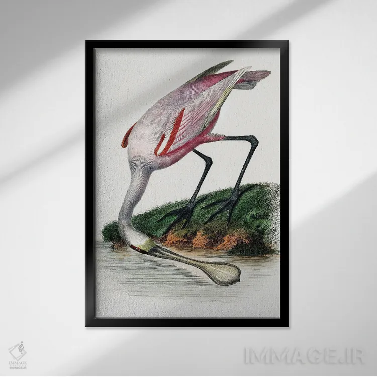 تابلو دکوراتیو کفچه نوک اثر اینکادو - نمای قابدار مشکی