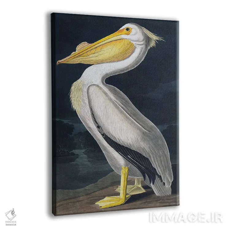 تابلو دکوراتیو پلیکان اثر اینکادو - نمای پرسپکتیو محصول