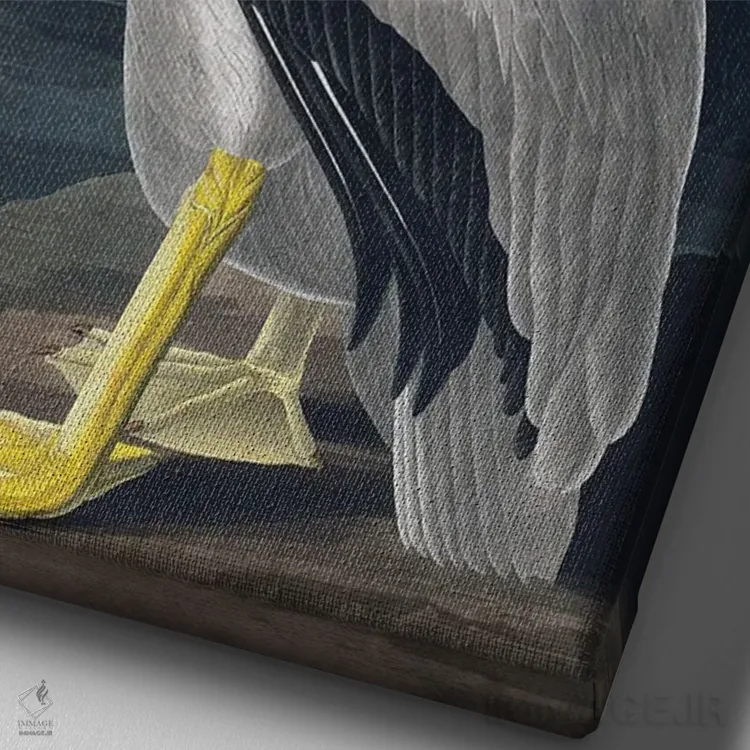 تابلو دکوراتیو پلیکان اثر اینکادو - نمای نزدیک بافت بوم