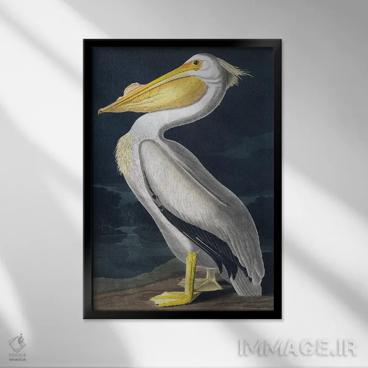 تابلو دکوراتیو پلیکان اثر اینکادو - نمای قابدار مشکی